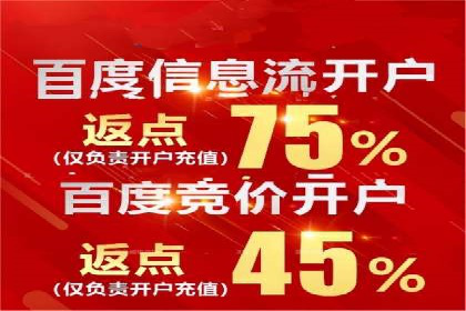 信息流广告投放公司：成功案例解析